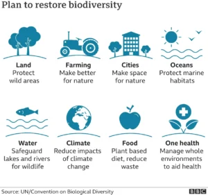 Recuperação da Biodiversidade e Impactos no Meio Ambiente: Uma Visão Profunda