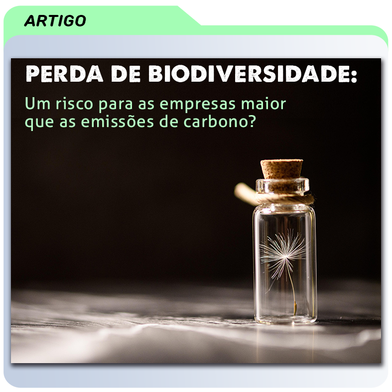 Perda de Biodiversidade: Um Risco Para as Empresas Maior que as Emissões de Carbono?