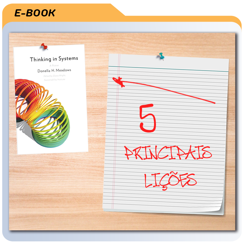 5 Principais Lições de Thinking in Systems de Donella H. Meadows